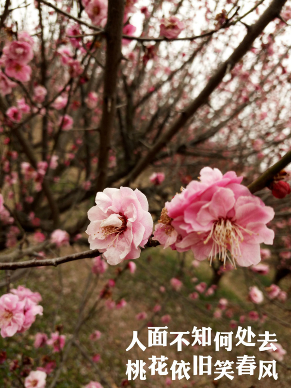 图片1_meitu_1.jpg